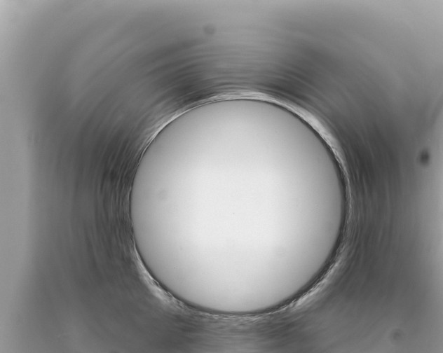 X0000094190905200710260952