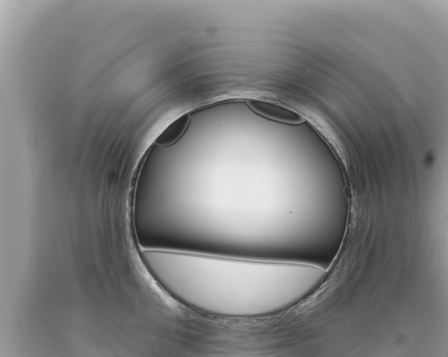 X0000094190906200710260951