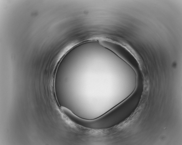 X0000094190909200710260951