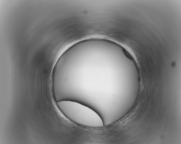 X0000094190911200710260951