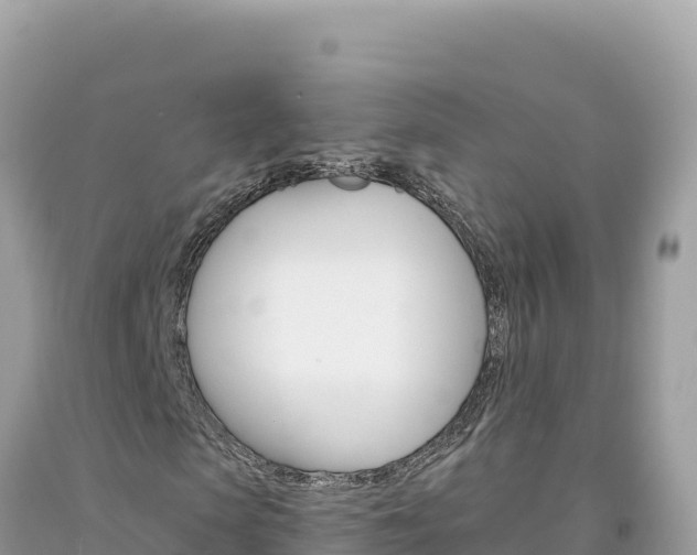 X0000094190913200710260951