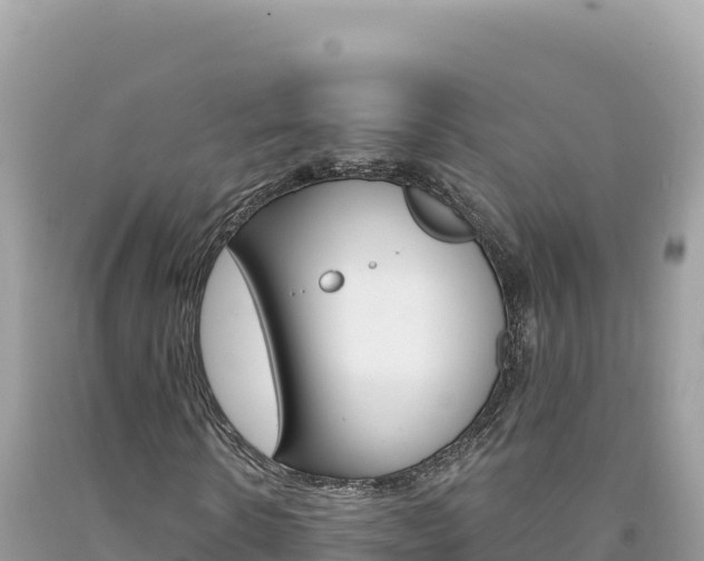 X0000094190914200710260951