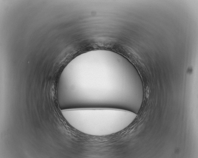 X0000094190915200710260951