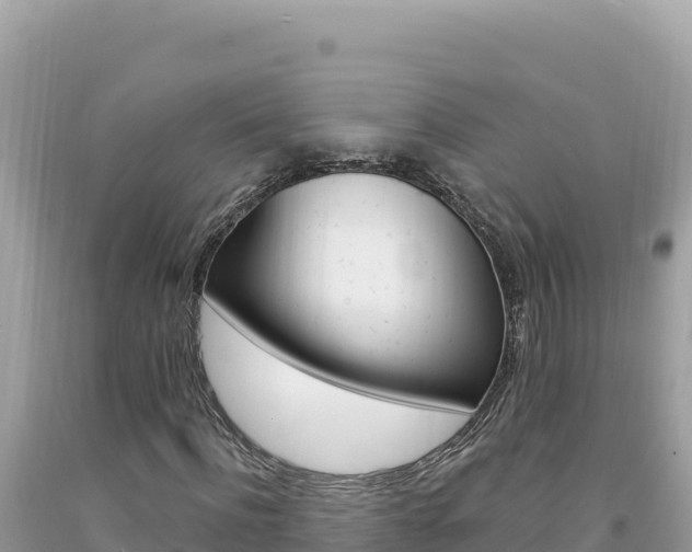 X0000094190916200710260951