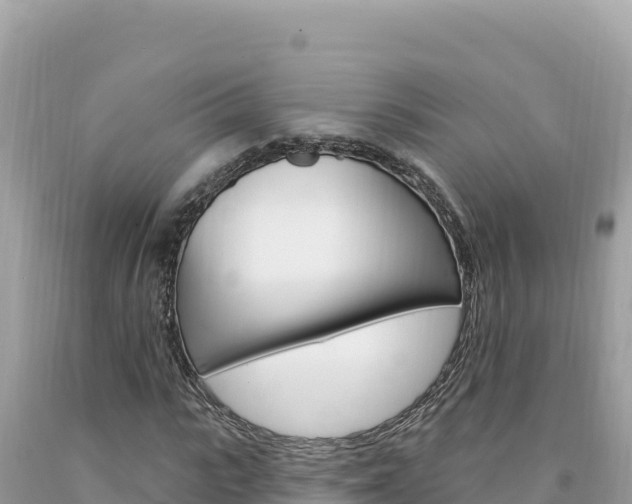 X0000094190919200710260951