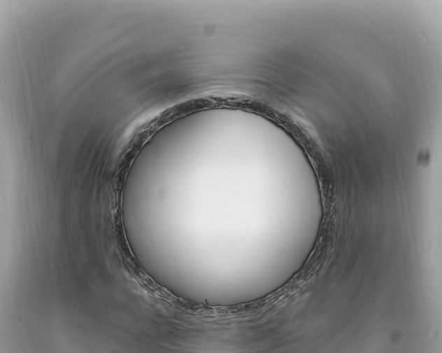 X0000094190920200710260951