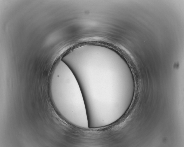 X0000094190921200710260951