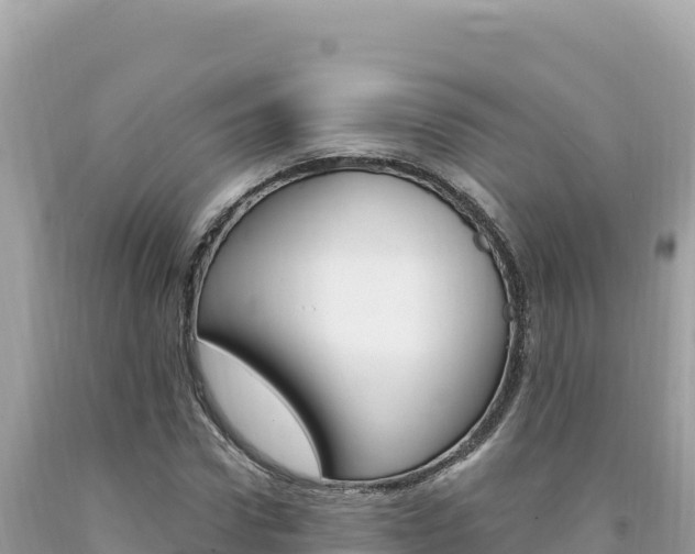 X0000094190922200710260951
