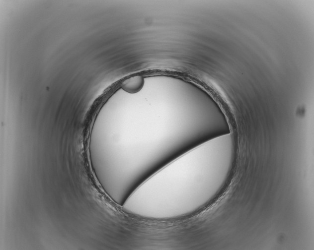 X0000094190923200710260951