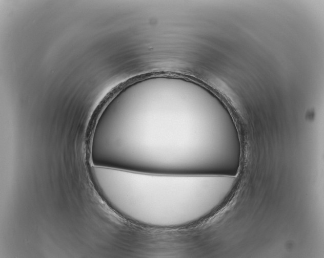 X0000094190924200710260951