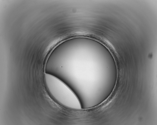 X0000094190930200710260951