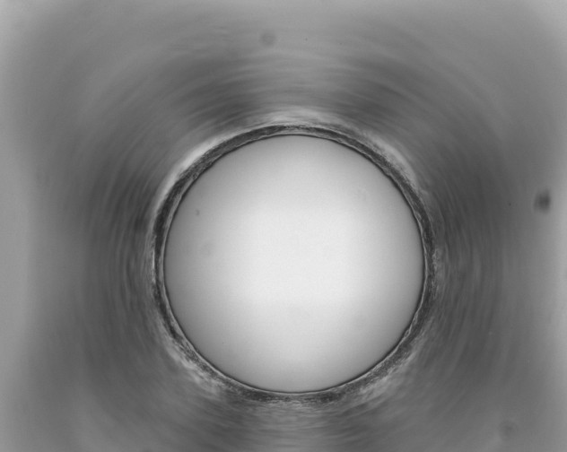 X0000094190931200710260951