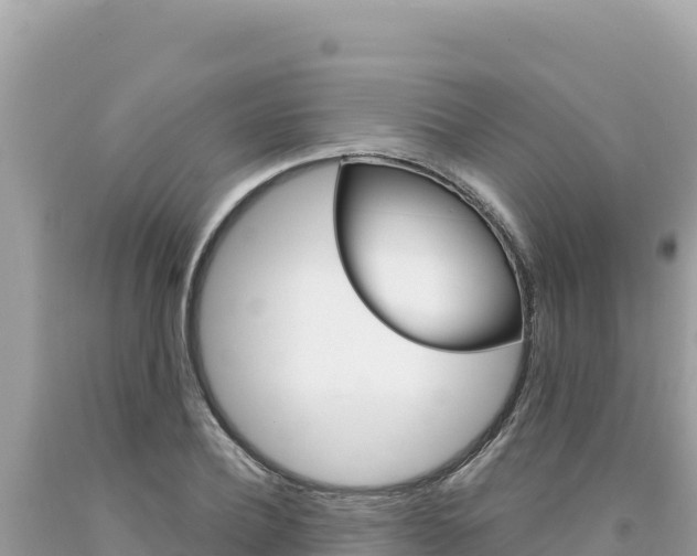 X0000094190932200710260951