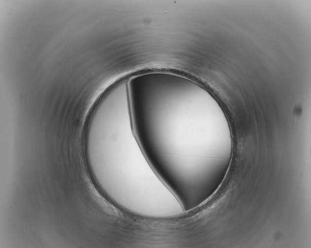 X0000094190934200710260951