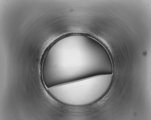 X0000094190935200710260951