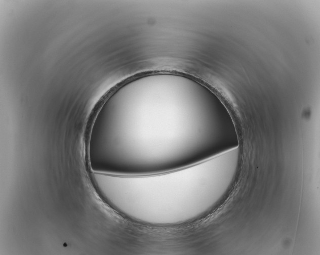 X0000094190936200710260951