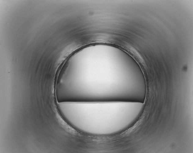 X0000094190938200710260951