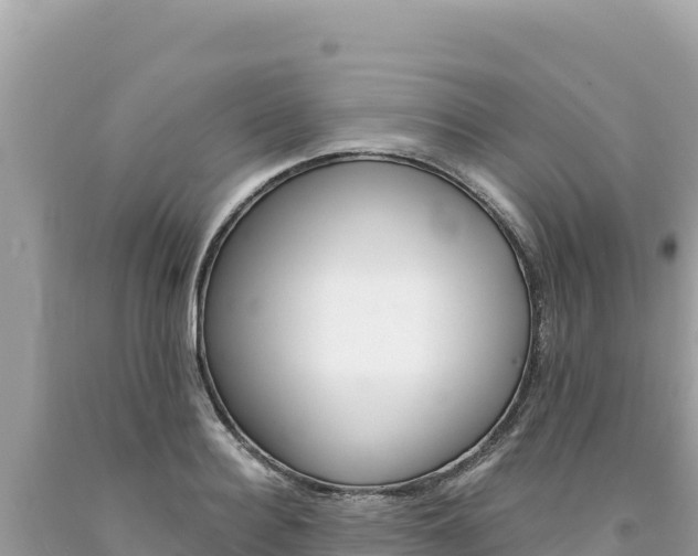 X0000094190940200710260951