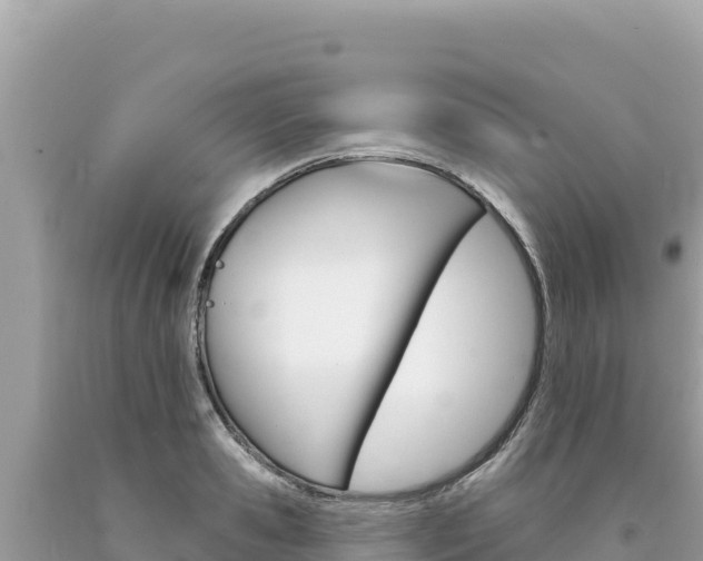 X0000094190941200710260951