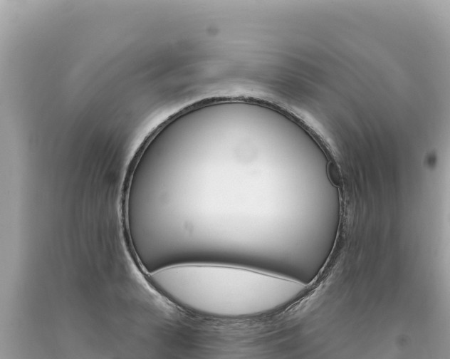 X0000094190943200710260951