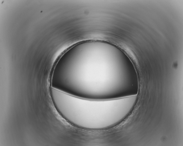 X0000094190944200710260951