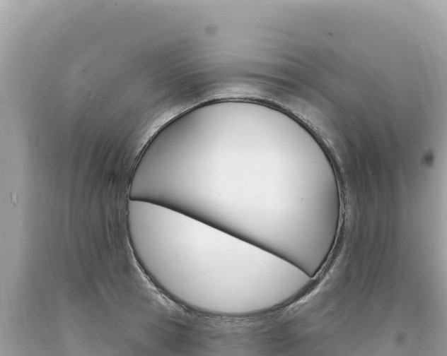 X0000094190945200710260951