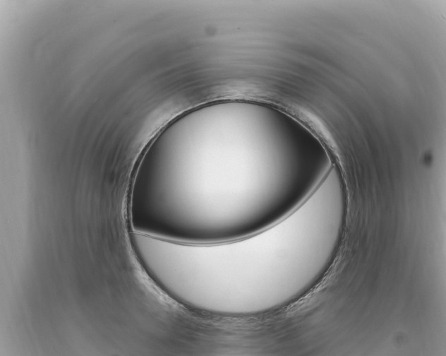 X0000094190946200710260951