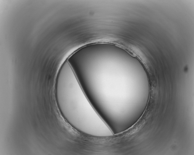 X0000094190948200710260951