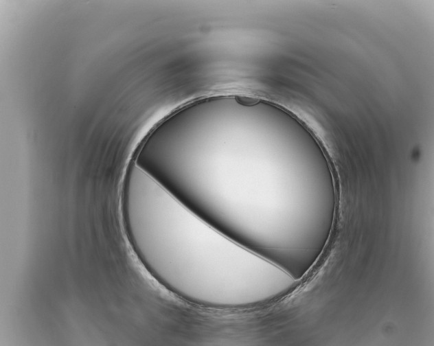 X0000094190949200710260951