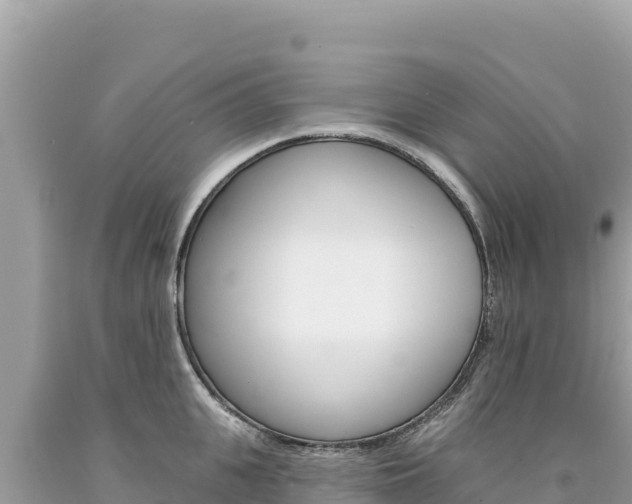 X0000094190951200710260951