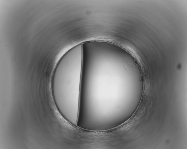 X0000094190952200710260951