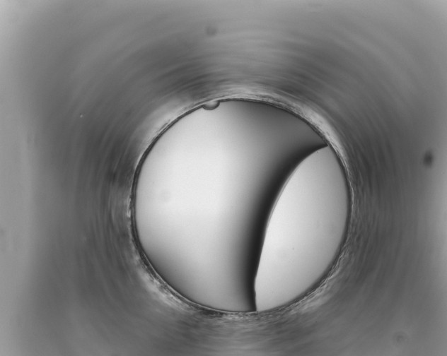 X0000094190954200710260951