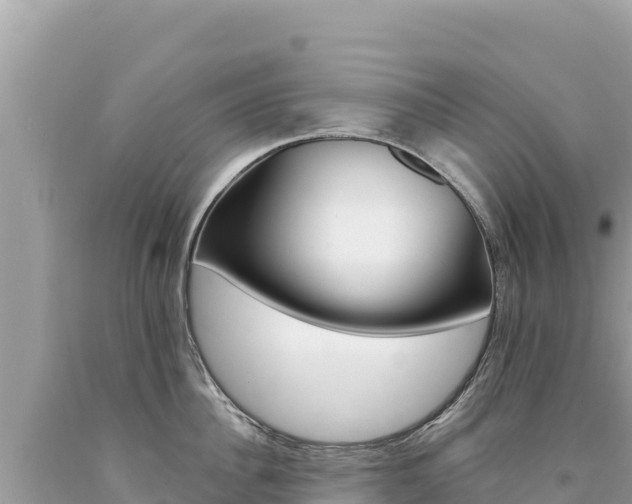 X0000094190956200710260951