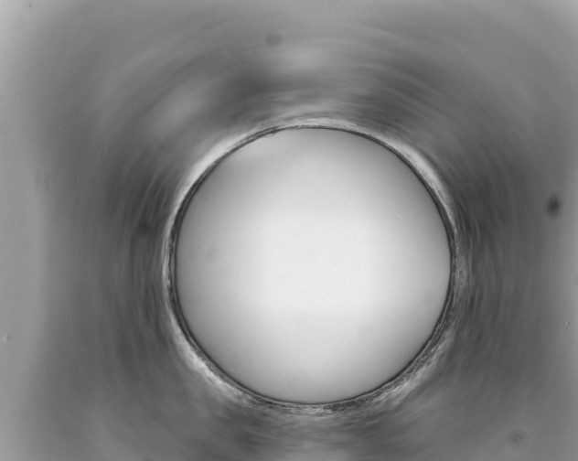 X0000094190957200710260951