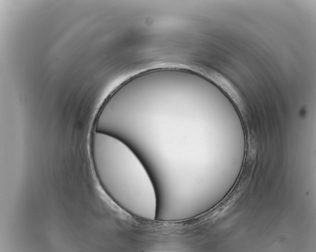 X0000094190958200710260951