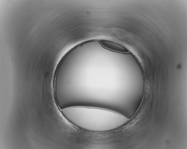 X0000094190959200710260951
