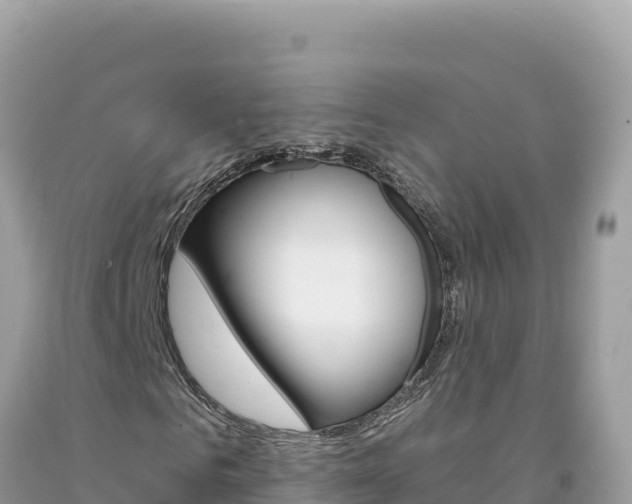 X0000094190961200710260951