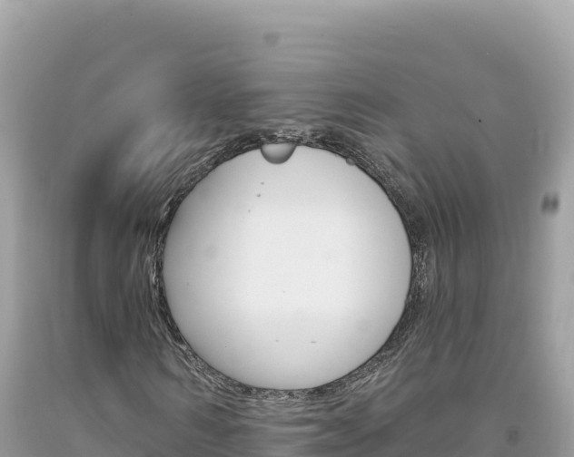 X0000094190962200710260951