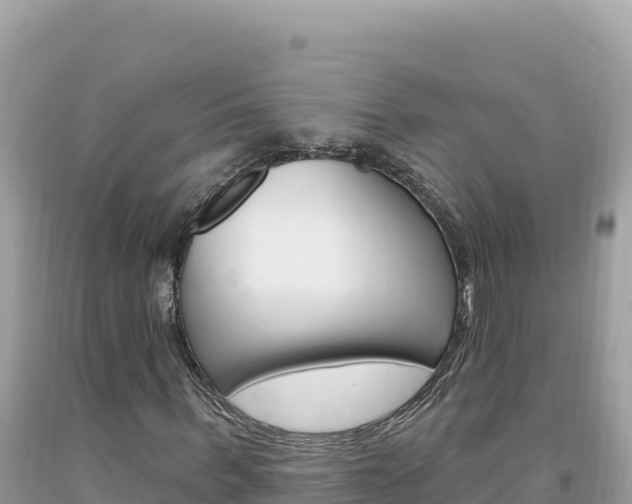 X0000094190963200710260951