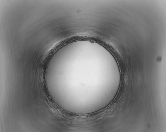 X0000094190968200710260950