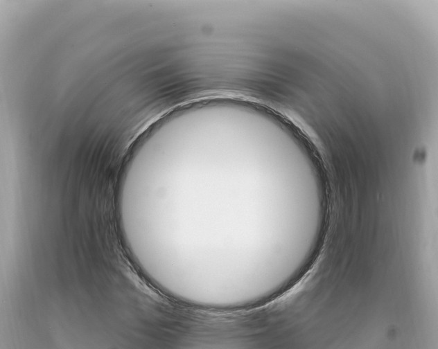 X0000094190969200710260950