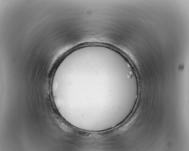 X0000094190974200710260950