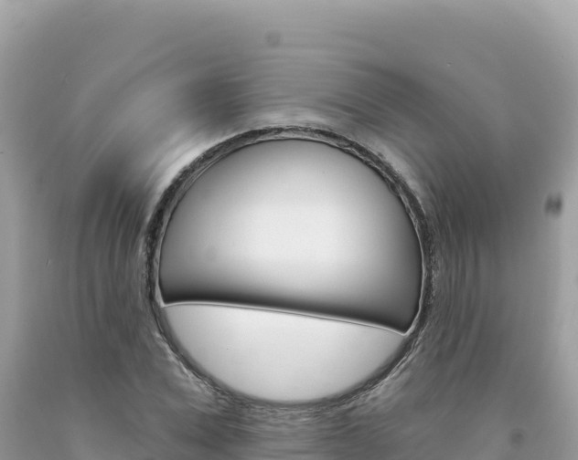 X0000094190975200710260950