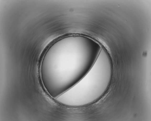 X0000094190976200710260950