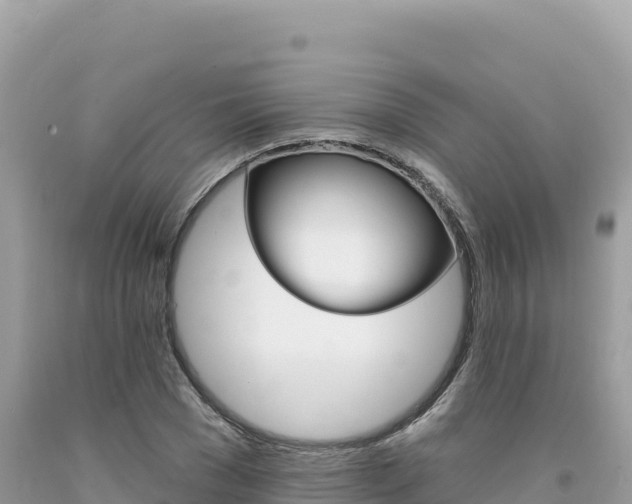X0000094190977200710260950