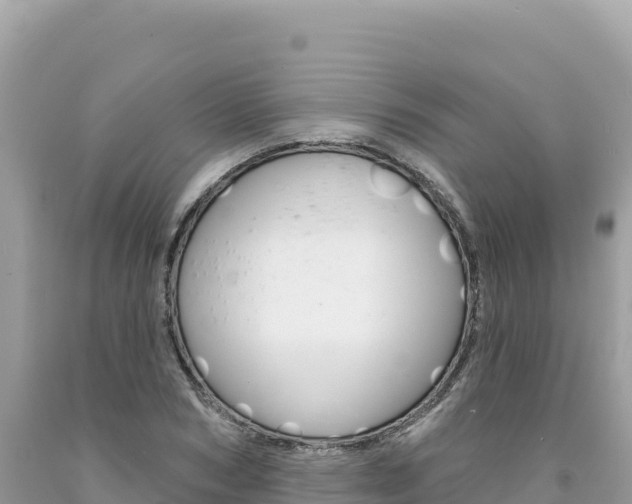 X0000094190978200710260950
