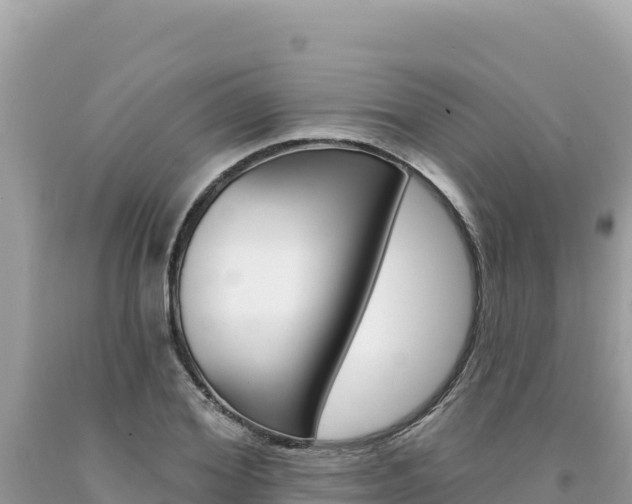 X0000094190980200710260950