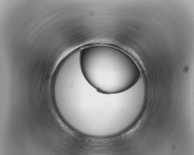 X0000094190981200710260950