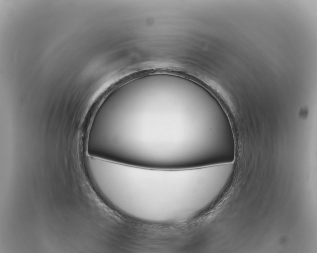 X0000094190983200710260950