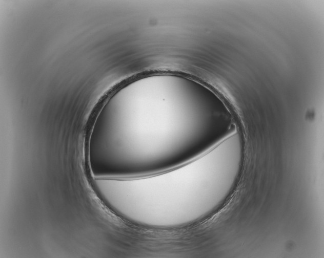 X0000094190984200710260950